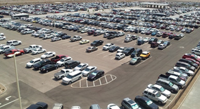 Parking Surveys